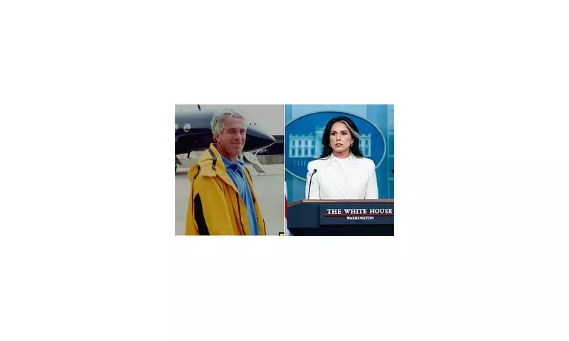 Tulsi Gabbard Drops Bombshell Claim: Epstein Had White House Ties – What We Know