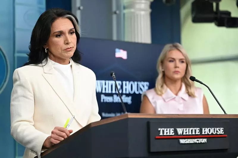 Tulsi Gabbard Joins White House Staff Amid Epstein Scandal Rumours