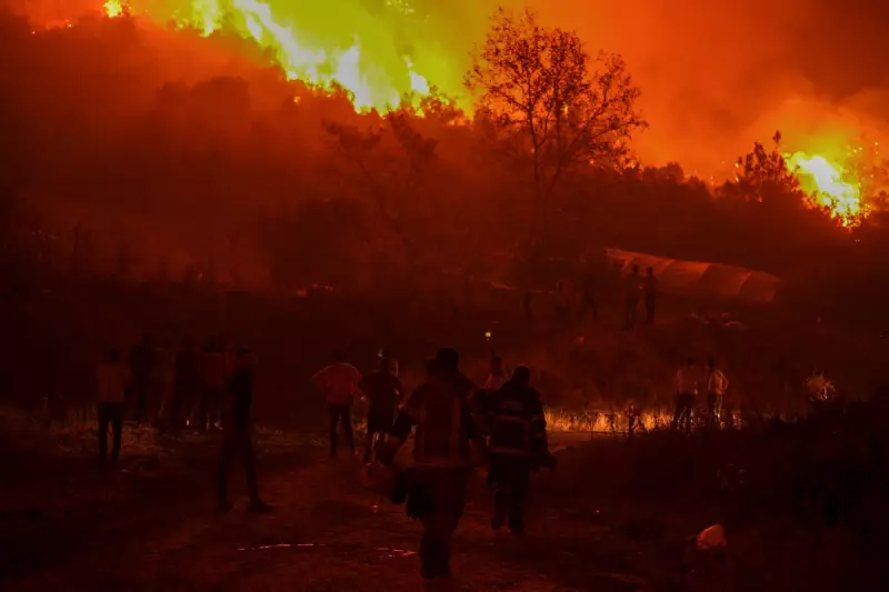 Turkey Battles Raging Wildfires Amid Scorching 50°C Heatwave