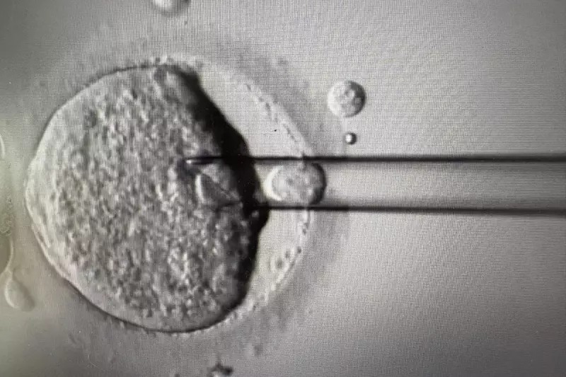 UK Approves Revolutionary IVF Technique Using DNA from Three Parents