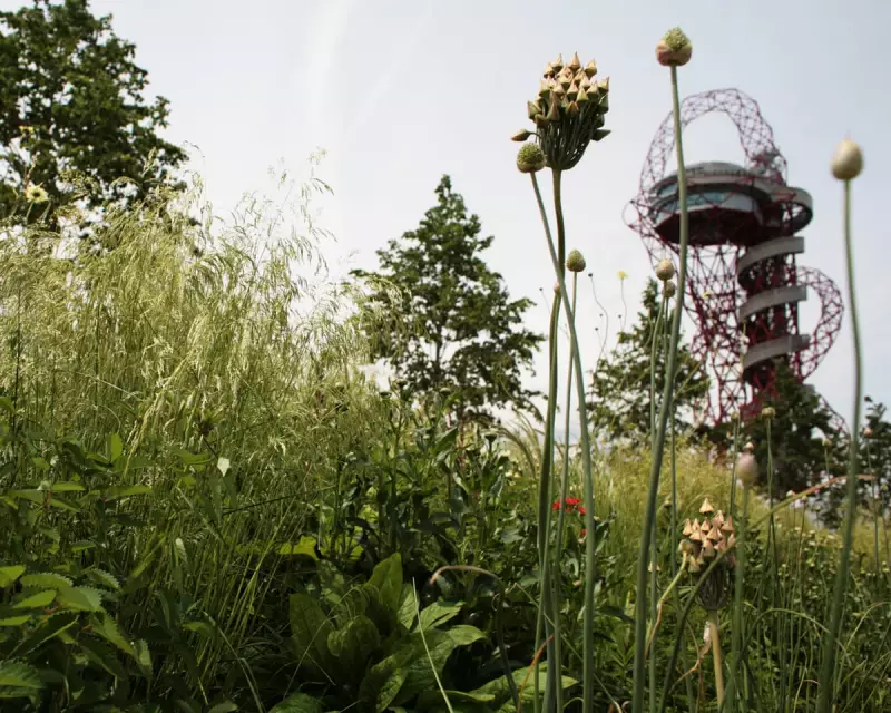 UK Councils Rethink Pesticide Use: Is Glyphosate on Its Way Out?