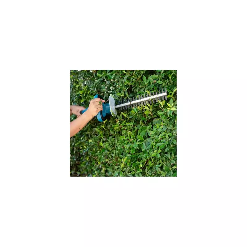 UK Gardeners Beware: Breaking This Little-Known Law Could Cost You £20,000