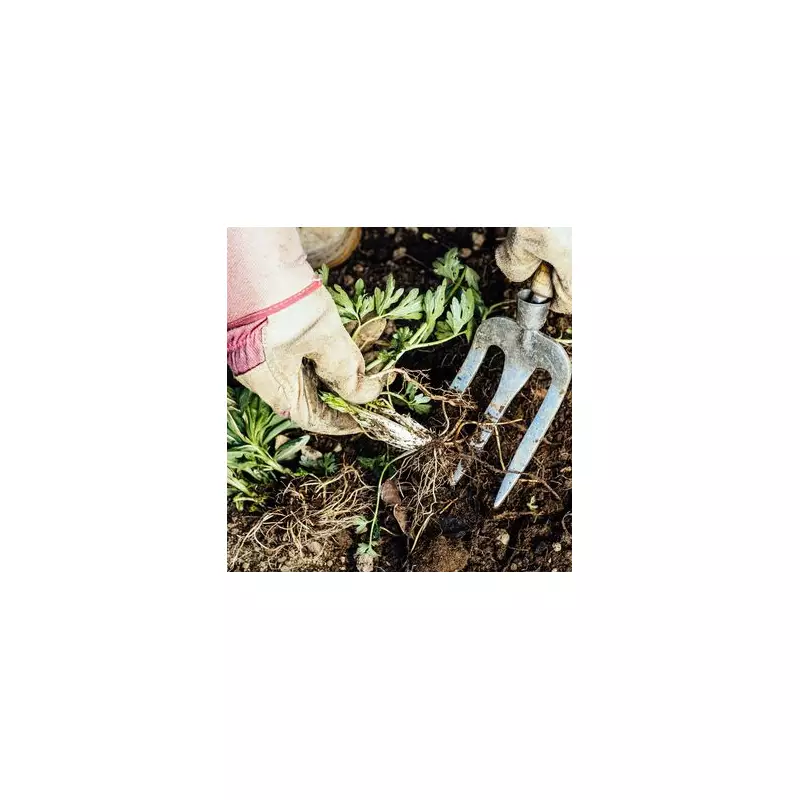 UK Homes Warned Over Common Garden Mistake That Could Cost Thousands