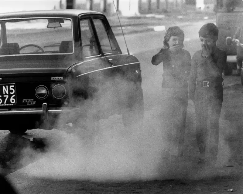 UK Urged to Protect Children from Lead Exposure – Not Just Animals