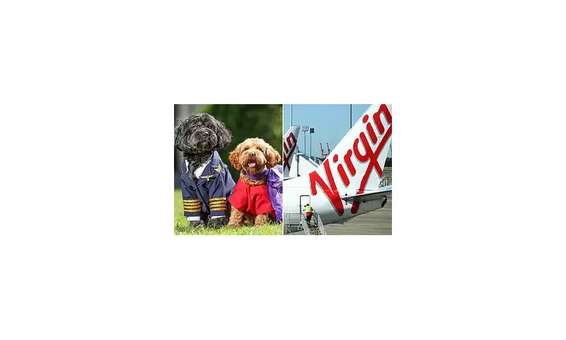 Virgin Australia Announces Major Policy Change: Pets Now Allowed in Cabins on Select Flights