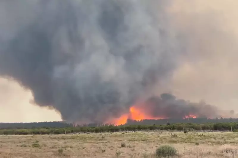 Watch: Rare Fire Vortex Spiral Captured in Utah Wildfire – A Mesmerising Yet Deadly Phenomenon
