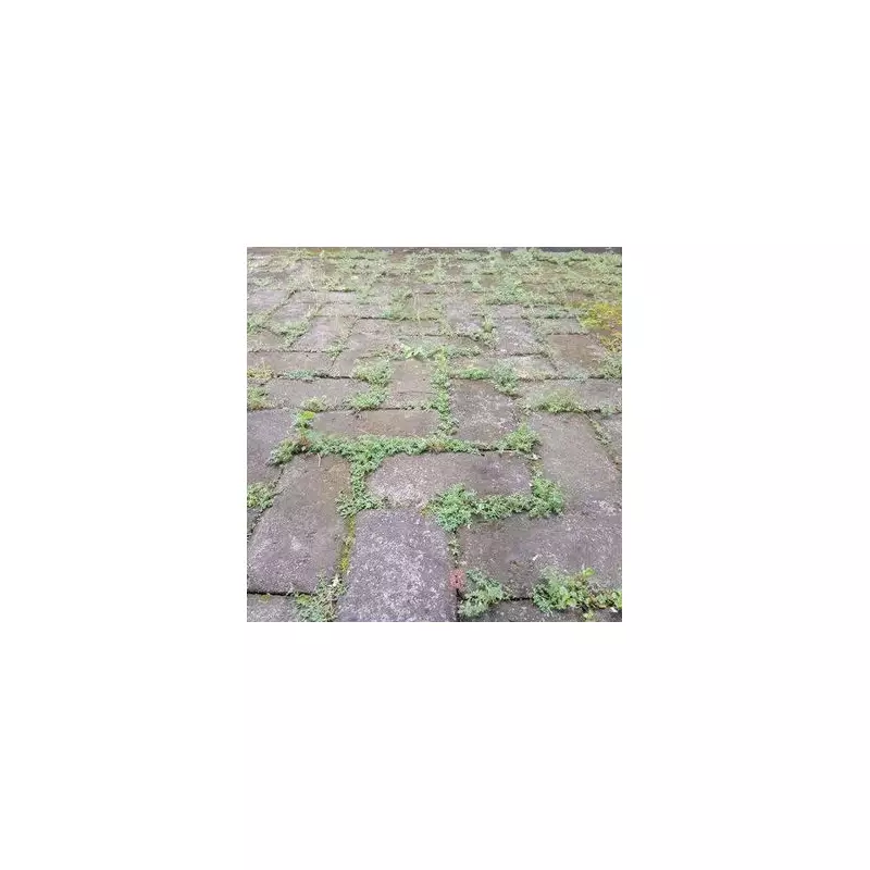 Weed Woes? Try These 5 Genius Hacks to Banish Them for Good!