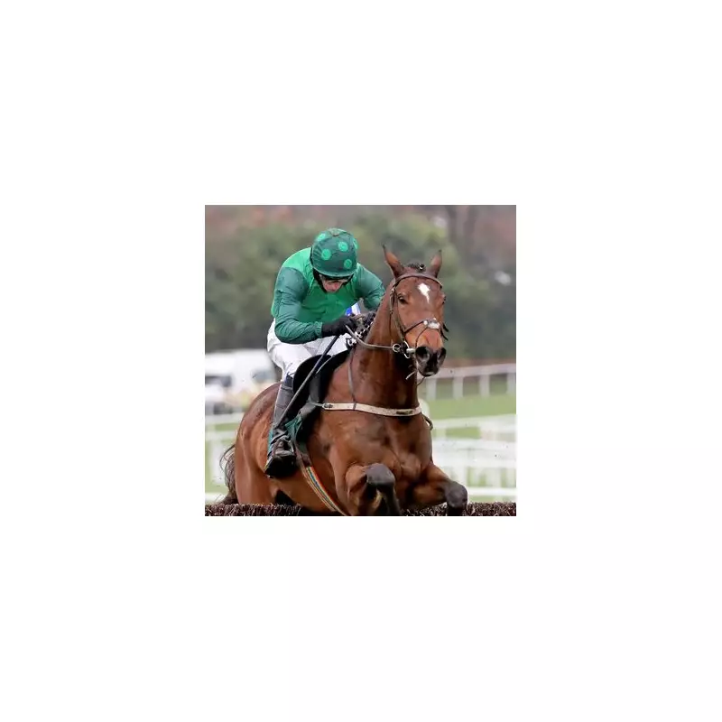 Willie Mullins Drops Bombshell: Lord Windermere Set for Cheltenham Retirement