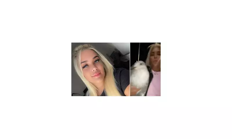 Woman, 22, Mistakenly Takes Home a Seagull While Drunk – Then Discovers It Had Bird Flu