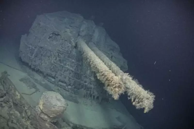 WWII US Navy Destroyer Discovered Off Japan in Historic Shipwreck Find