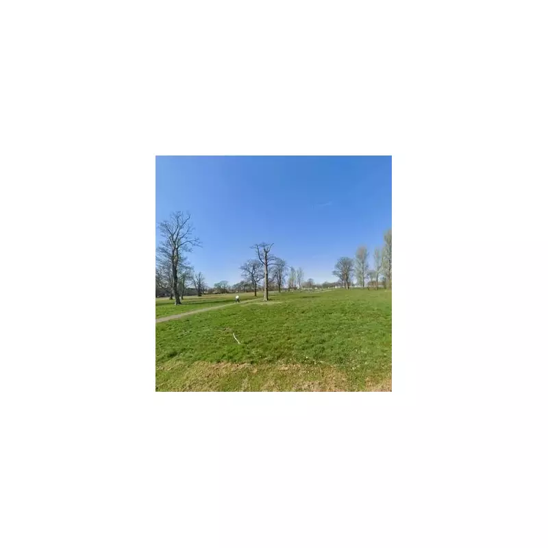 XL Bully Dog Kills Owner in Tragic Attack: What We Know So Far