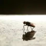 1p Hack to Keep Your Garden Blooming All Summer – Experts Swear By It!