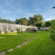 3 Simple Steps to Keep Your Lawn Lush and Green All Year Round