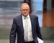 Albanese Faces Pressure Over Palestine Recognition Amid US Trade Tariff Concerns