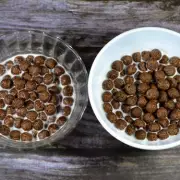 Aldi vs Sainsbury's: We Tasted Their Coconut Yoghurts – And The Winner Might Surprise You!