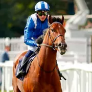 Almeraq Storms to Victory in Stewards' Cup at Goodwood, Defying Odds