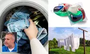 Are You Washing Your Clothes Wrong? TV Doctor Reveals the Right Temperature to Kill Germs