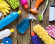 At 82, I’ve Made Peace with Bacteria – Here’s Why You Should Too