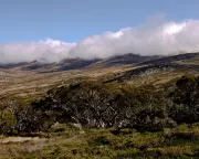 Australia's Political and Economic Landscape: Key Updates on Childcare, Economy, and More