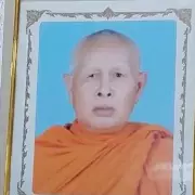 Buddhist Monk Dies After Brutal Attack by Killer Bees in Thailand