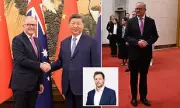 China's Diplomatic Fury: Peter Van Onselen Faces Backlash Over Taiwan Comments