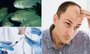 Could Salmon Sperm Be the Secret to Faster Hair Growth? The £400 Beauty Trend Taking Over