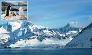 Discover Antarctica: The Land Where the Sun Never Sets