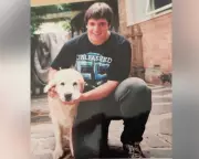 Dog Walker Stumbles Upon Human Skull Linked to Missing Person Case