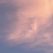 Donald Trump Fan Claims He Can 'Talk to the Dead' – Bizarre Revelation Stuns Followers