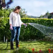 Drought-Proof Your Garden: Top Tips to Keep Plants Thriving in Dry Spells