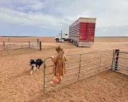 Drought-Stricken South-East Australia to Receive Much-Needed Rainfall from Incoming Cold Front