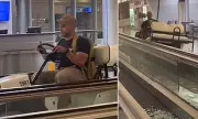 Drunk Passenger Goes on Wild Golf Cart Joyride Through Buffalo Airport