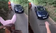 Equestrian vs Motorist: Viral Clash Over Speeding Sparks Debate – Who Was in the Right?