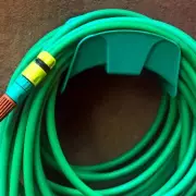 Expert Tips to Keep Your Plants Thriving During a Heatwave