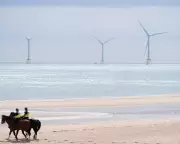 Fact-Checking Trump's Controversial Claims on Wind Power: What's True and What's Not