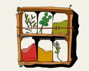 Flatmate Feud: Should My Spice Rack Be Shared?