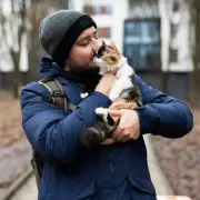 From Scruffy Stray to Stunning Beauty: The Incredible Transformation of a Feral Cat