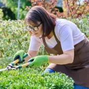 Gardeners Beware: 'Savage' Plant Invaders Threatening UK Gardens