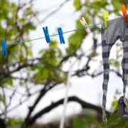 Gardener's Genius Hack: Use Leftover Coffee Grounds to Supercharge Your Plants