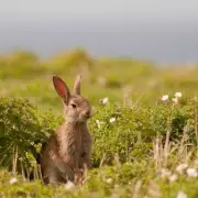 Gardener's Secret: One Simple Job to Keep Your Plants Thriving This Winter