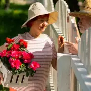Gardener's Shocking Realisation: The True Culprit Behind Her Stolen Flowers Wasn't Her Neighbours!