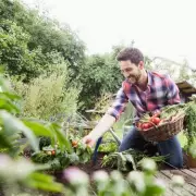 Gardeners Warned: This Common Fruit Could Ruin Your Harvest – Here's What to Do