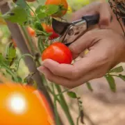 Gardening Expert Reveals the One Thing You Should Never Do When Watering Your Plants