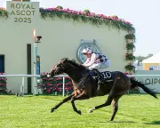 Havana Hurricane Set to Storm Newbury Super Sprint: Can This Colt Outrun the Competition?