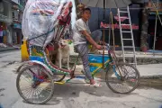 Heartwarming Tale: Rickshaw Driver in Kathmandu Adopts Stray Dogs as His Family