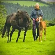 Hero Trainer Saves Lives in Minehead Bus Crash Drama