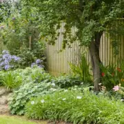 Hidden Danger in Your Garden: Why Your Trees Could Be a Risk to Your Home