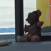 Horrifying Discovery: Teddy Bear Filled with Deadly Fentanyl Found in US Park