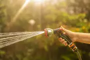 Hosepipe Ban Looms: How to Keep Your Garden Thriving During Water Restrictions