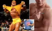 Hulk Hogan's Heart Scare: How Steroid Abuse Led to Cardiac Arrest